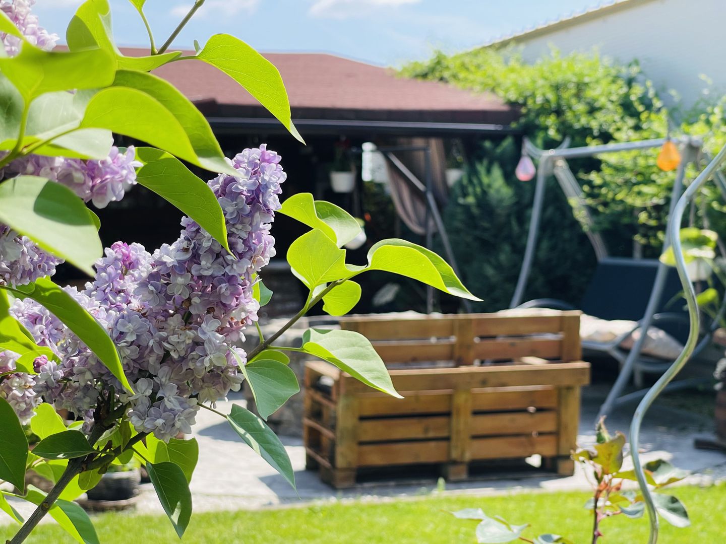 OFERTA VANDUTA - Casa Sacalaz - curte superba | 180 mp, 5 camere - Poză 7