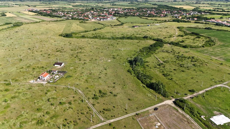 Terenuri zona  MOSNITA NOUA -  ALBINA . - Poză 25