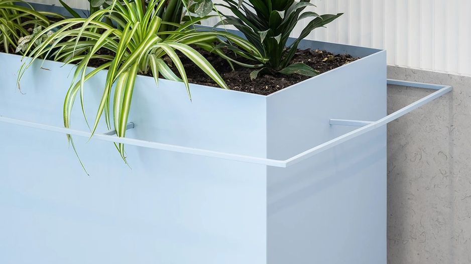 Prima Vista - Poză 15