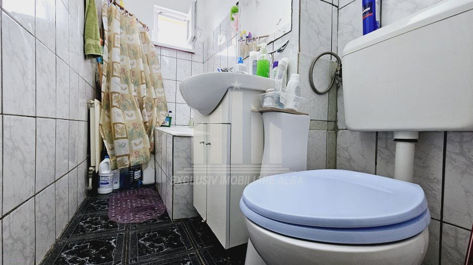 Apartament cu 2 camere de vanzare, Cetate - Poză 8