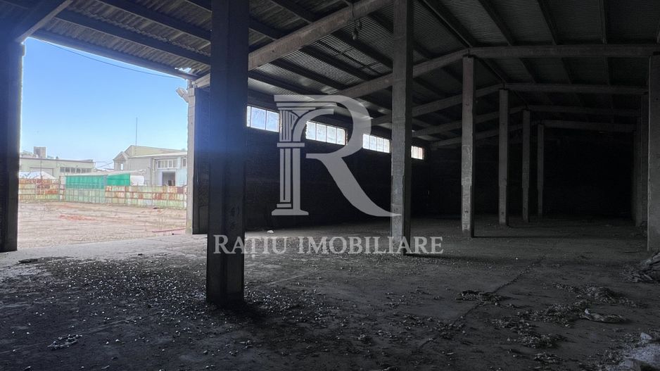 PLATFORMĂ INDUSTRIALĂ STRATEGICĂ ÎN ORADEA –  POTENȚIAL OPERATIONAL - Poză 2
