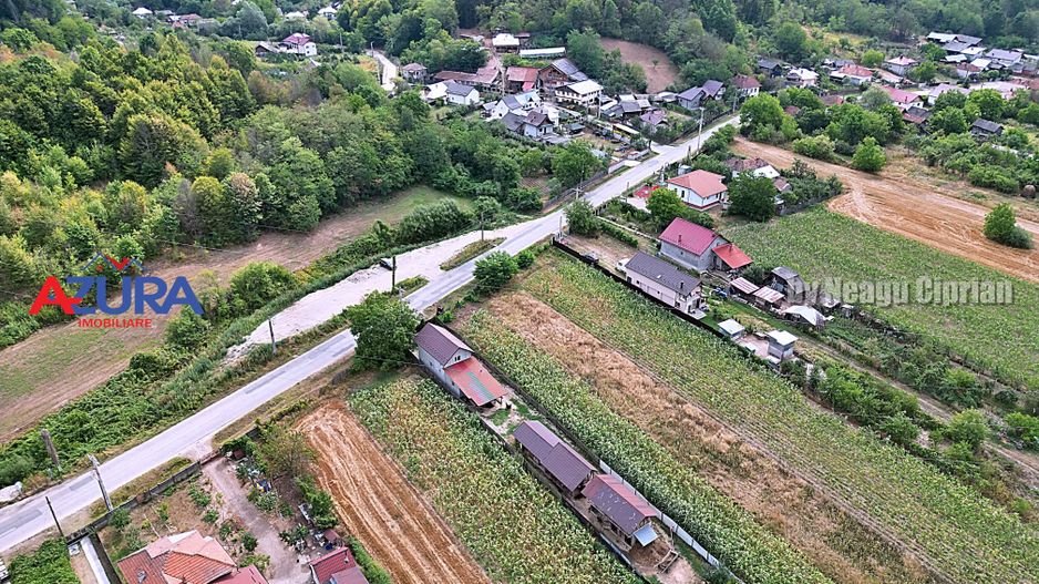 AZURA Imobiliare - Teren Budeasa Galasesti Calotesti - Poză 16
