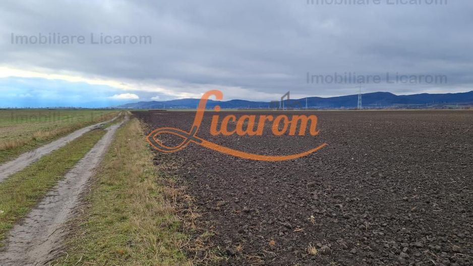Teren extravilan 2,9 HA,intre Cristian si Vulcan - Poză 6