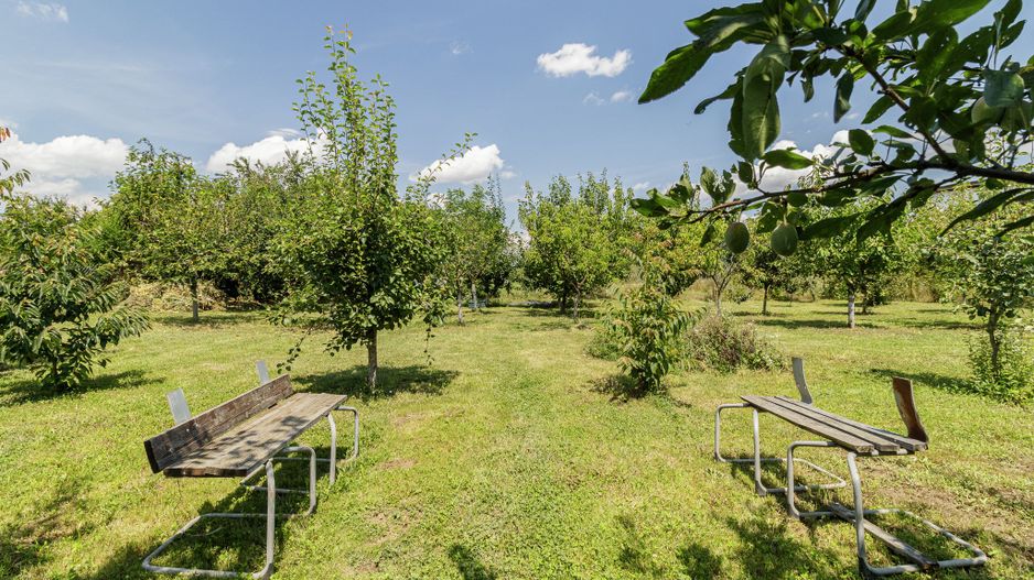 Casă de vânzare Tâncăbești cu grădină, aproape de lac - Poză 28