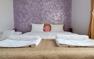 Vama Veche - Vila Sophia  - Vânzare pensiune P+1E la cheie. - Poză 27