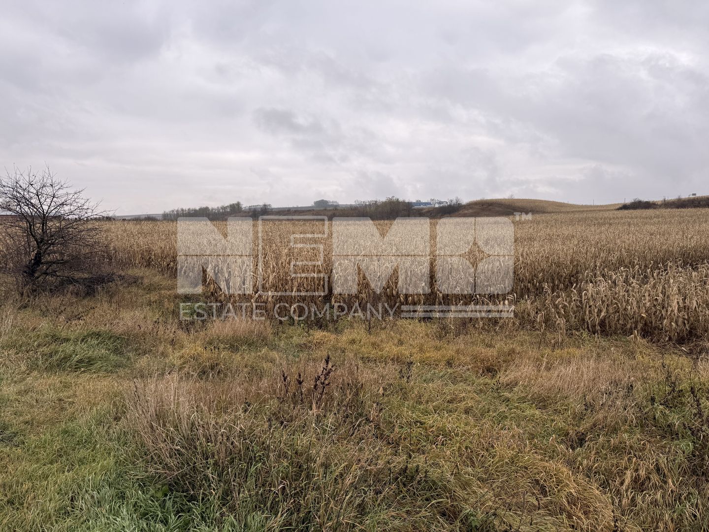 Teren 24 ari | Grănicesti | Front 19 m | DN2H - Poză 2