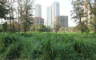 BANEASA 890Mp URBANISM VALABIL LANGA BLOCURI Greenfield Residence - Poză 1