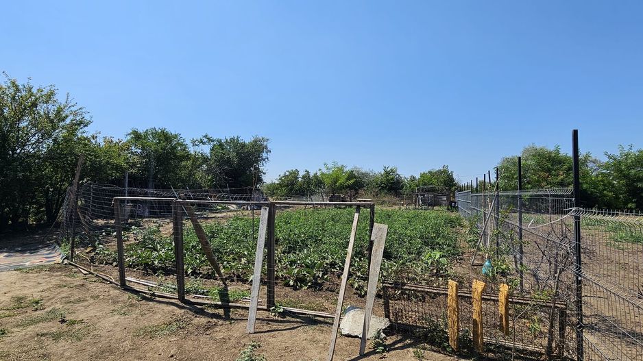 Teren intravilan 641 mp Eforie Nord – 38.000 € | Comision 0% - Poză 3