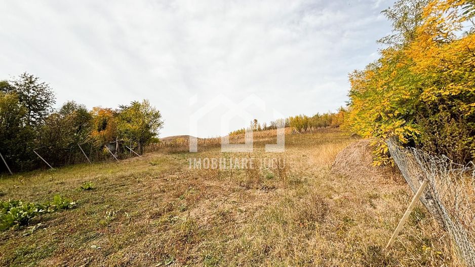 1.838 mp Construibil | Front 25,6 m | Zonă Rezidențială – Gădălin - Poză 3