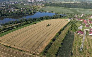 Loturi de casă lângă Lac Dumbrava/CIurbești, aproape de Iași, cu utilități, negociabil - Poză 4