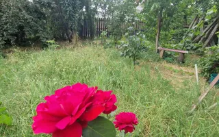 Casă parter cu teren generos de 595 mp, în Șimnicul de Jos – Craiova - Poză 19