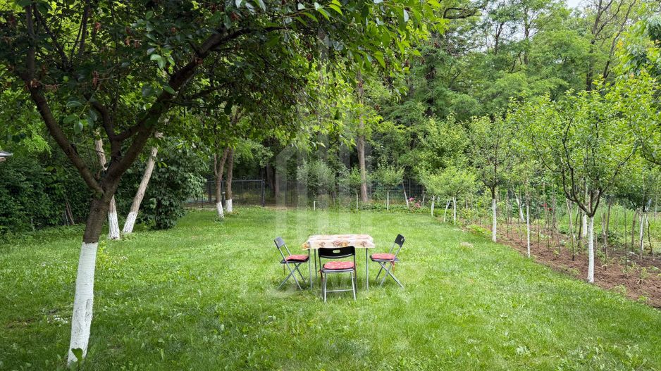 OCAZIE RARĂ - Teren cu cabană de vânzare lângă Lacurile Naturale - Ocna Sibiului - Poză 9