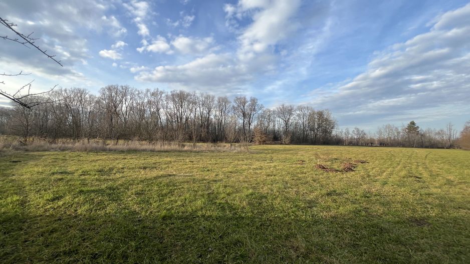 TEREN INTRAVILAN GENEROS | 72 ARI | GALANESTI - Poză 3