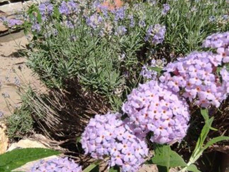 Casa cu doua camere, mobilata si utilata, zona centrala - Poză 3