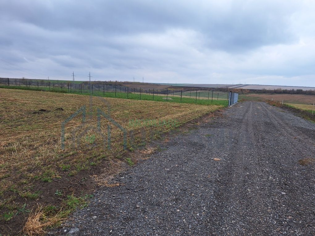 Teren de casă în Târgu Frumos, strada Petru Rareș – 500 mp - Poză 4