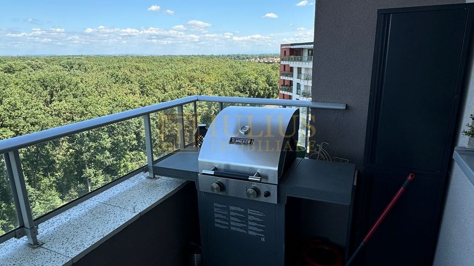 2 camere, intrare in Dumbravita, langa padure. - Poză 12