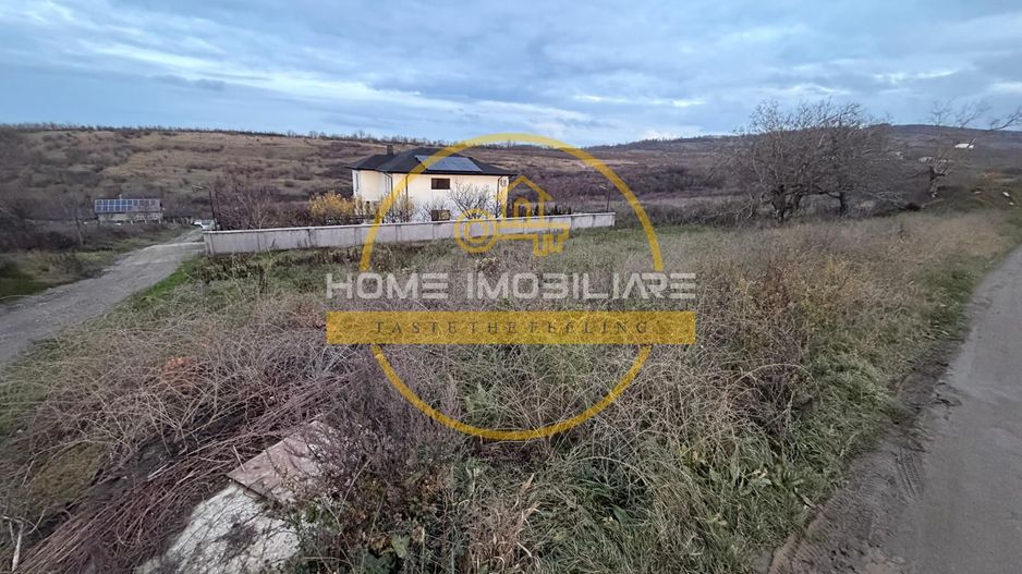 Teren Bucium – Plopii Fără Soț, 469–938 mp - Poză 4