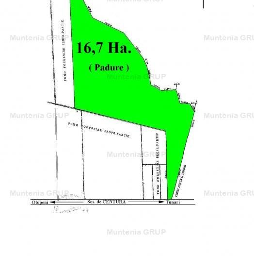 TUNARI - Centura Bucuresti, 16,7 Ha. teren (padure de peste 100 ani) - Poză 6