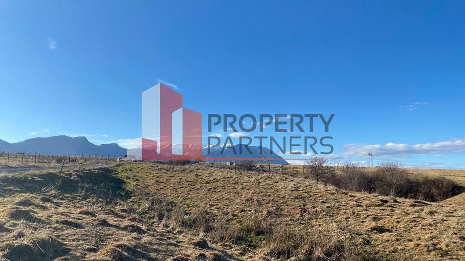 Teren Sohodol 10.000 mp - Poză 3