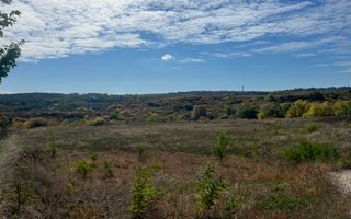 Teren intravilan 3961 MP | Paleu | Bihor - Poză 2