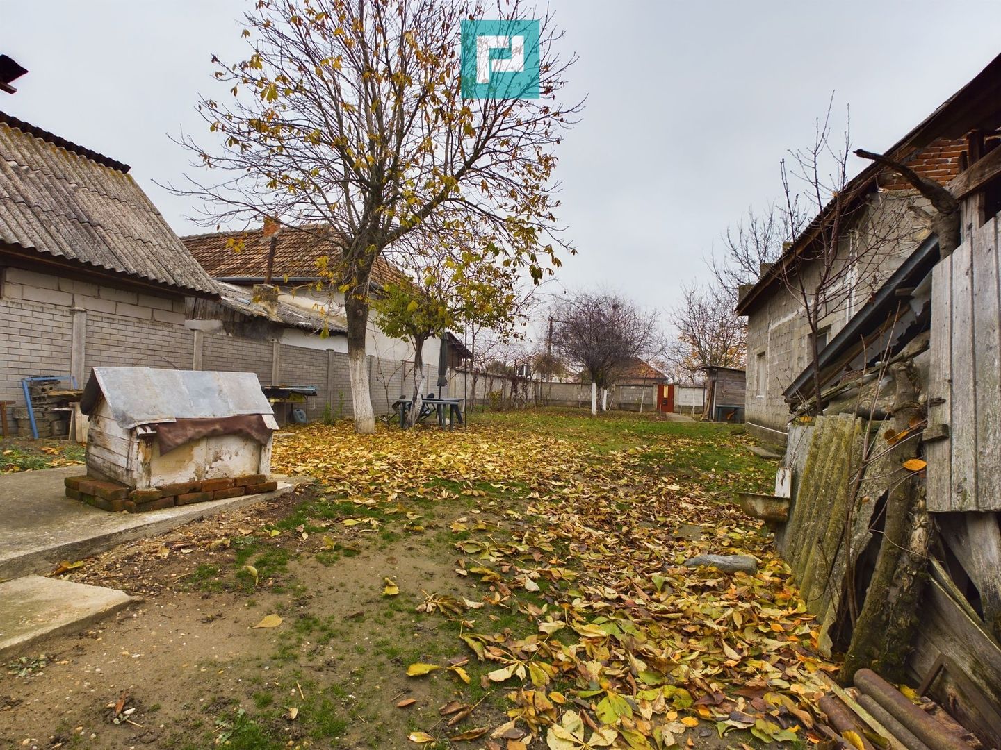 Casa cu 4 camere in Cicir - Poză 13