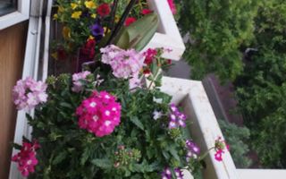 Apartament Timpuri Noi/Radu Vodă - Poză 1