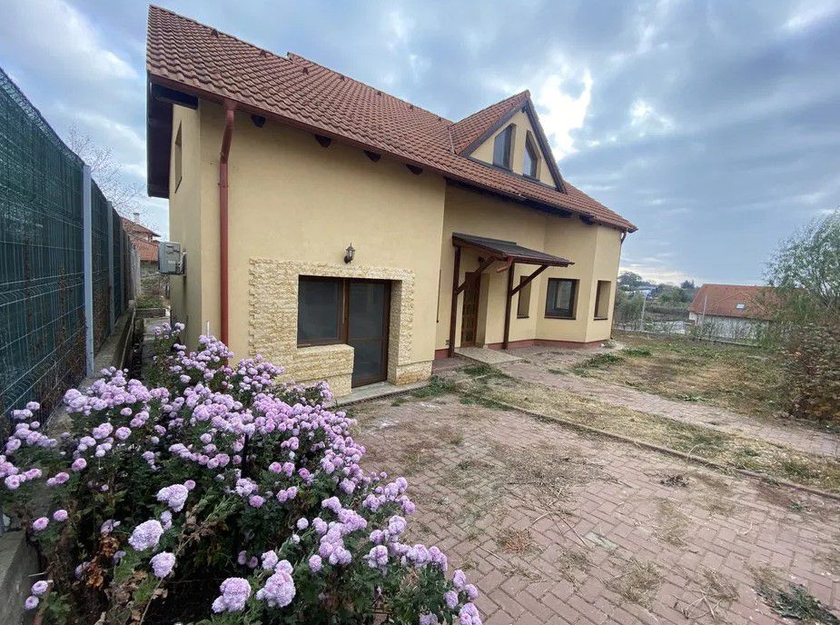 Vila Balotesti | Vedere Lac - Poză 4