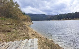 Proprietate unica! Teren generos cu iesire la lac! - Poză 15