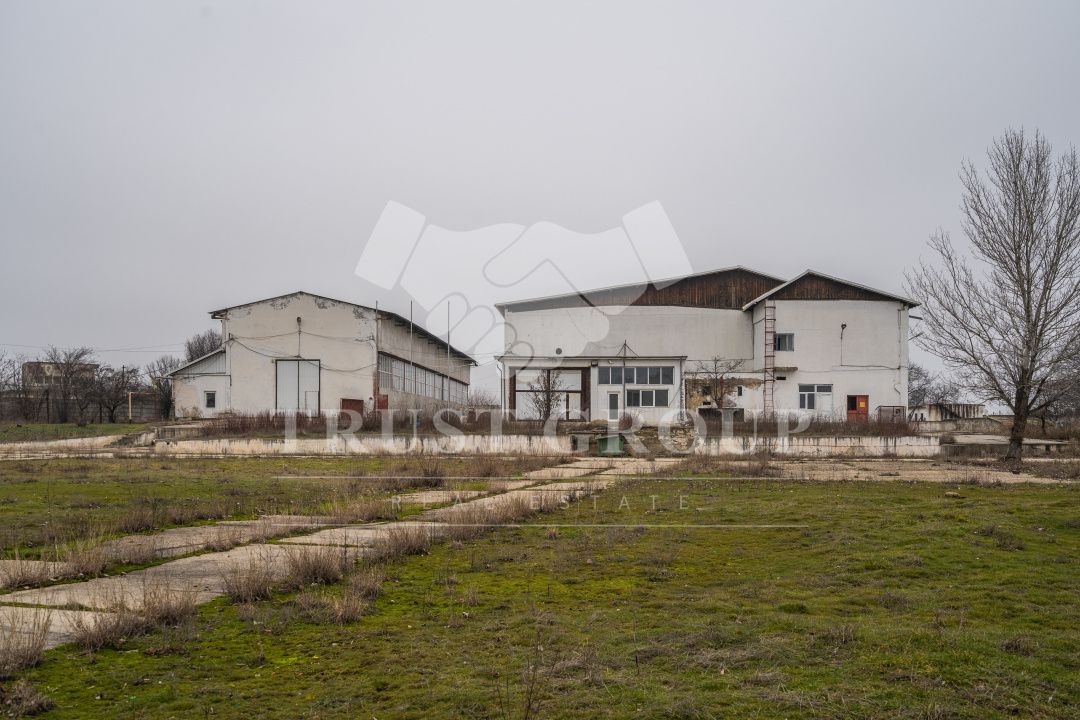 Teren 28.788m + Hale industriale + Sediu Firma - Poză 33