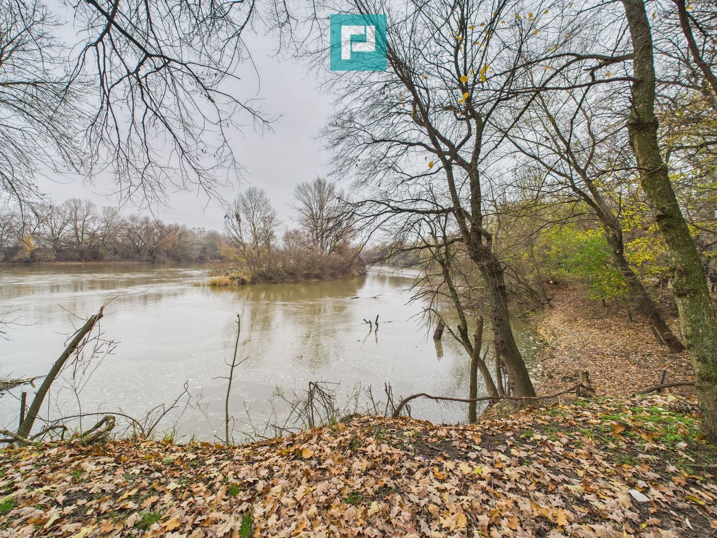 Teren spectaculos la  Periam Port - Poză 4