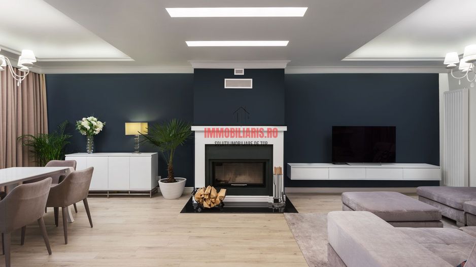 Theodor Pallady - Ansamblu Premium - Dezvoltator - Poză 3