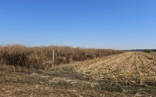 Copăceni - Ilfov - Teren intravilan arabil de vânzare - 1.148 mp - Poză 4