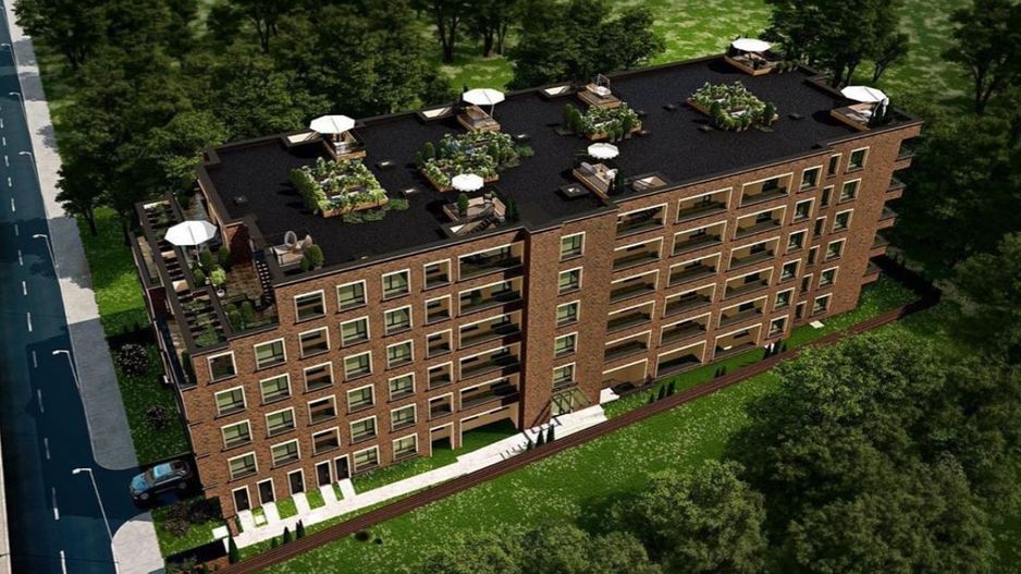 Via Pipera - Poză 4