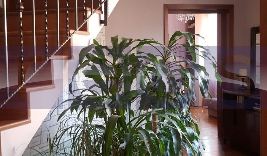 INCHIRIERE SPATIU BIROURI D+P+2 | ZONA IANCULUI - Poză 10