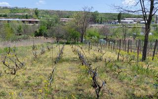 Teren intravilan 3.250 mp în Filești – Ideal pentru casă sau investiție! - Poză 10