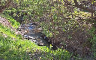 Teren extravilan de vanzare, Bistrita Bargaului- 10 minute de Colibita - Poză 13