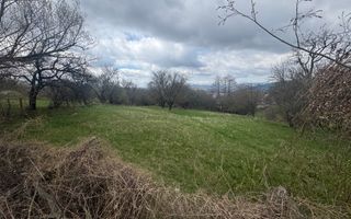 TEREN INTRAVILAN 2153 MP IN VALEA MARE PRAVAT - Poză 3