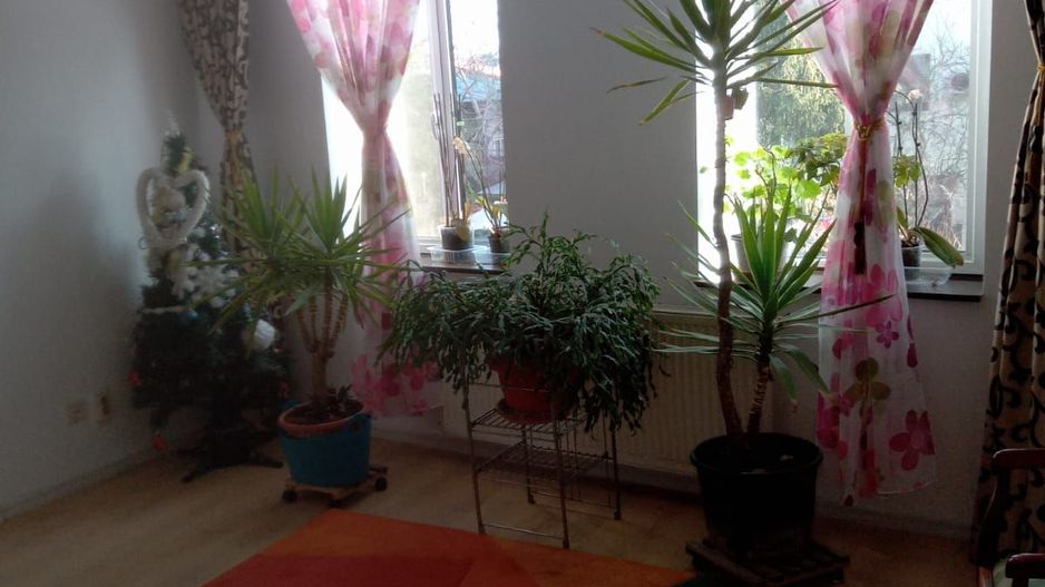 De vanzare Apartament 3 camere + pod in Vila, Vasile Lascar - Eminescu - Poză 9