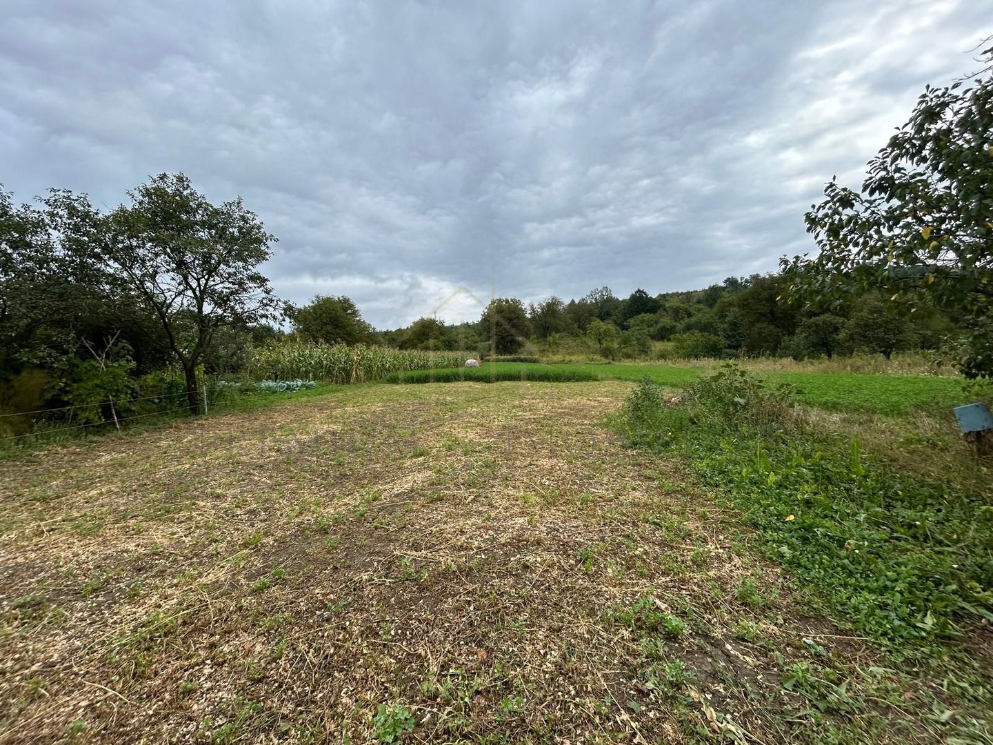 Proprietate de vânzare | 15 km de Onești, DN11 – direcția Bacău - Poză 12