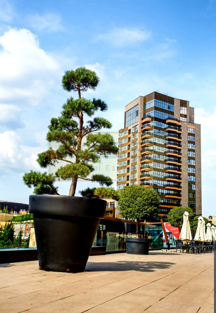 Apartament 2 camere  Palas Mall Sf Lazar - Poză 35