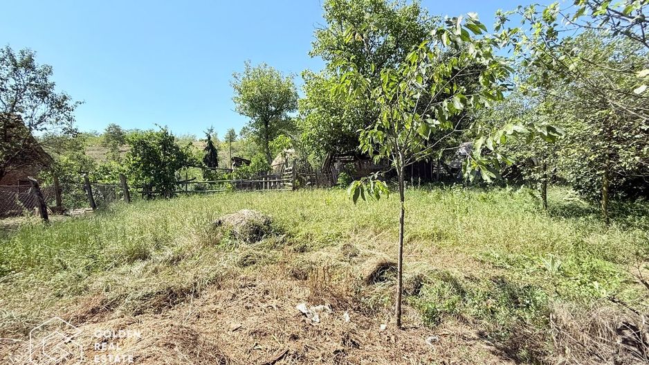 Casa 3 camere, sat Nicolae Balcescu, comision 0% - Poză 29