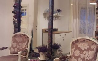 Apartament cochet Cismigiu - Poză 6