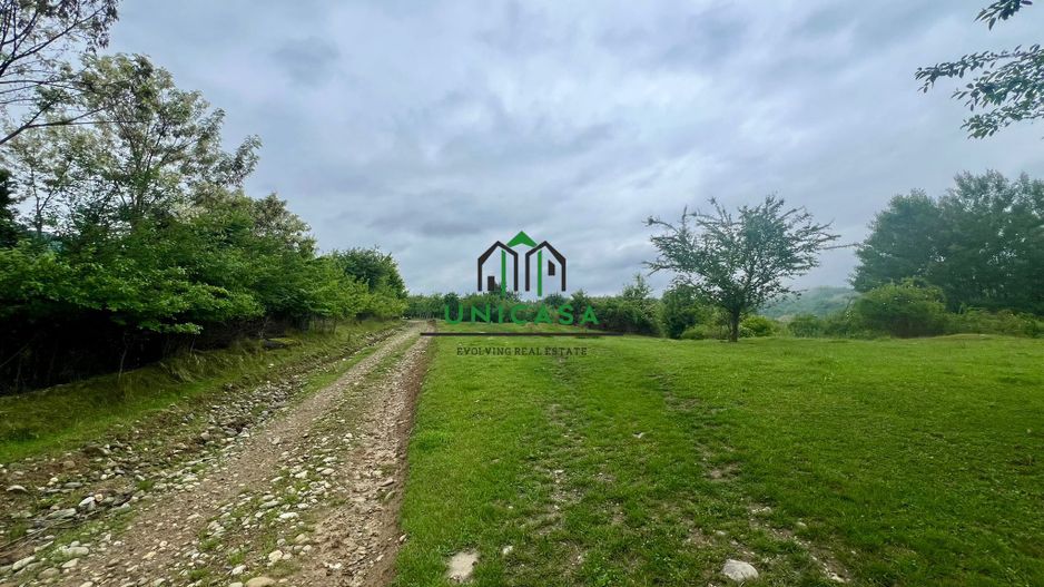 Teren 3507 mp/ Seaca/Calimanesti - Poză 2