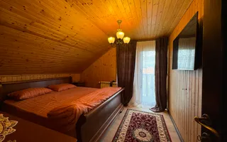 Casă 6 camere de vânzare | Sadu, Tocile | 160 mp | 1.500 mp - Poză 15