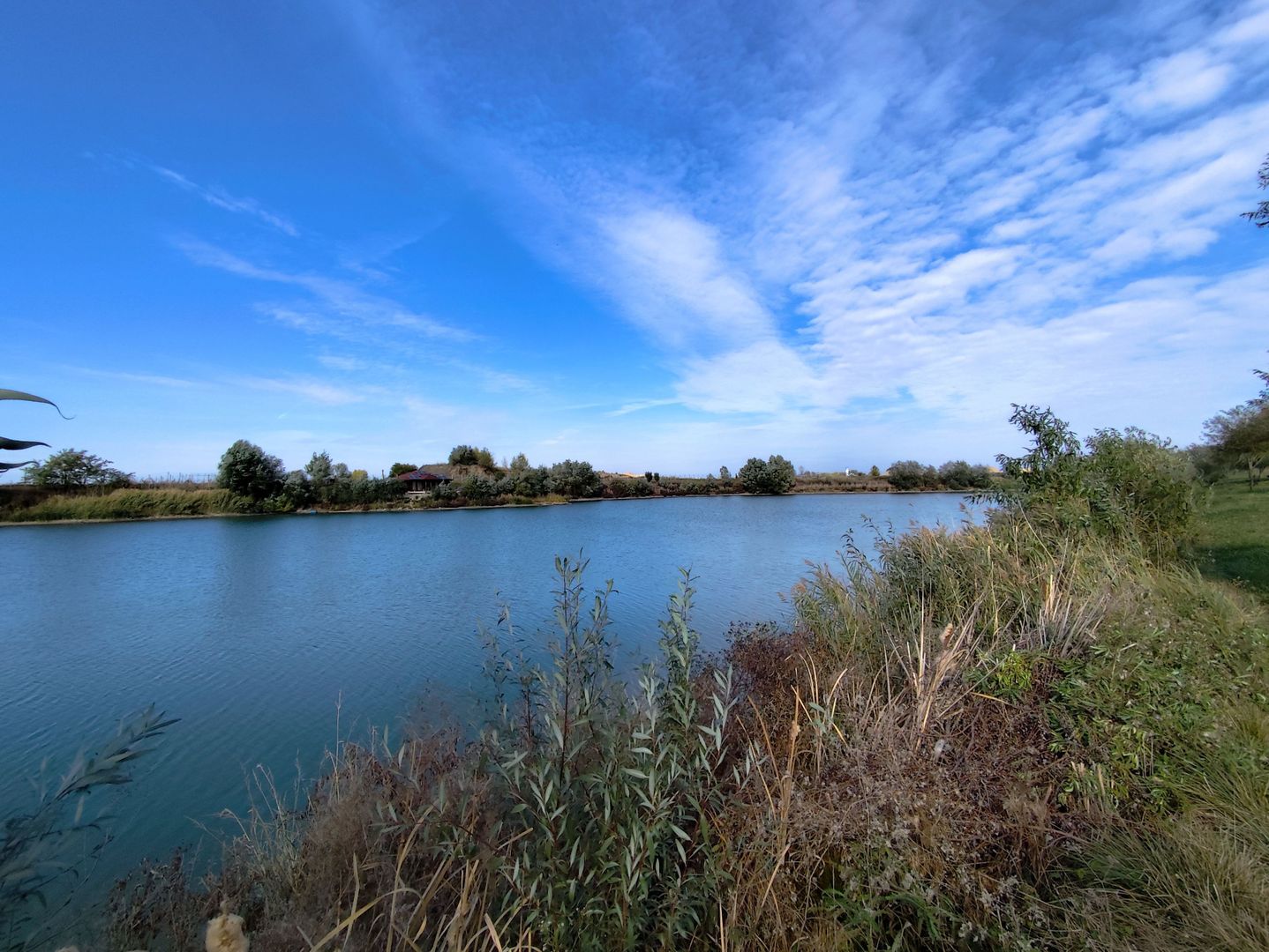 Balta de Pescuit | Cabana din Busteni | Teren 6,37 ha | langa Oradea - Poză 17