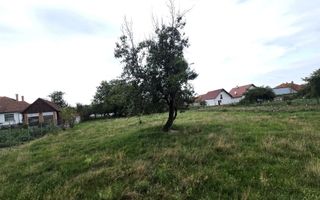 Casa 4 camere 2487 mp teren Arpasu de Jos - Poză 9