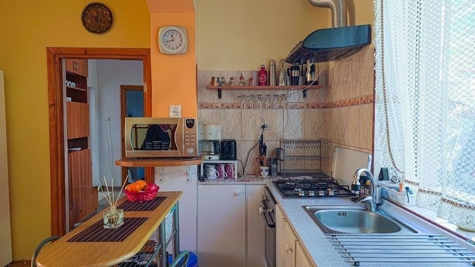 Lunei - Ion Neculce, 2 Apartamente. Mansarda 157 mp. Anexe, Lot 475 mp - Poză 29