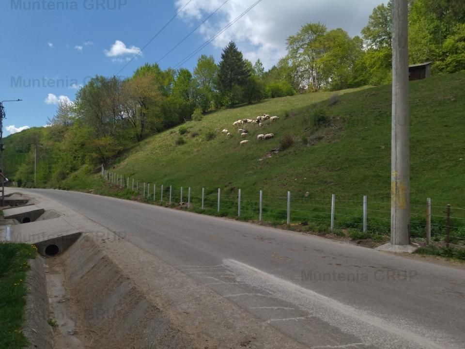 NAMAESTI - Valea Mare Pravat, 7000 mp. teren intravilan, ideal locuinta - Poză 3