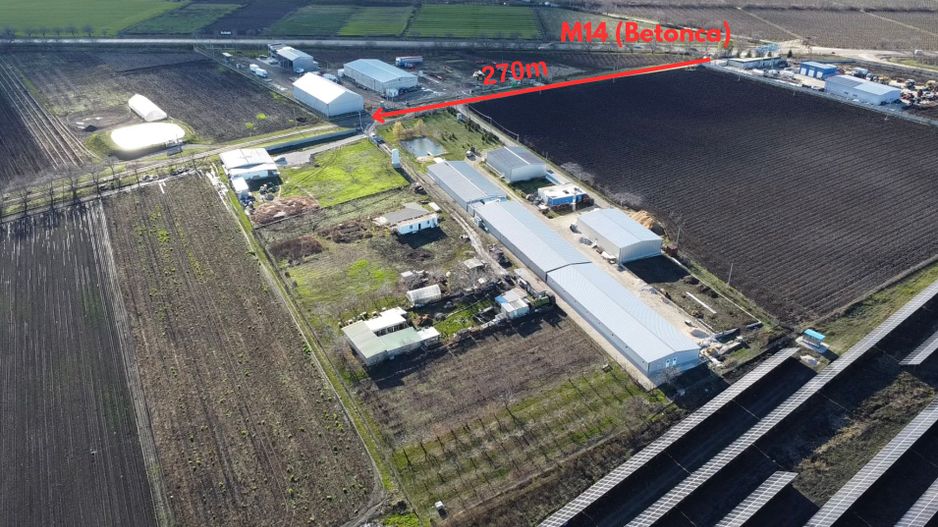 Teren Agricol, 75 ari, la șoseaua M14, 10 km de Chișinău - Poză 3