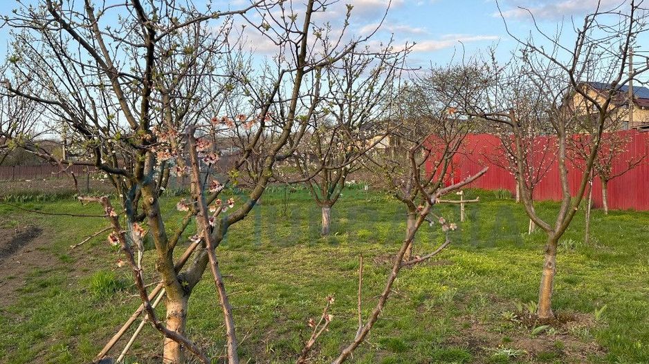Casă de familie în Dorobant, zonă metropolitană, 253 mp, P+M+Pod, 2 apartamente decomandate, 2012 - Poză 5